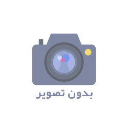 اتو مو دیجیتالی 6040 - gisoomoon